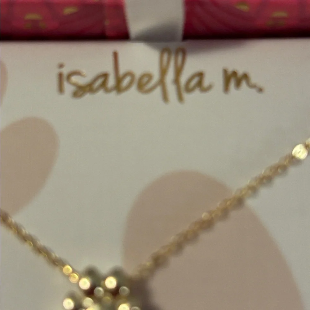 NIB Isabella M. gold tone Sterling Silver Paw Print Necklace - 16”